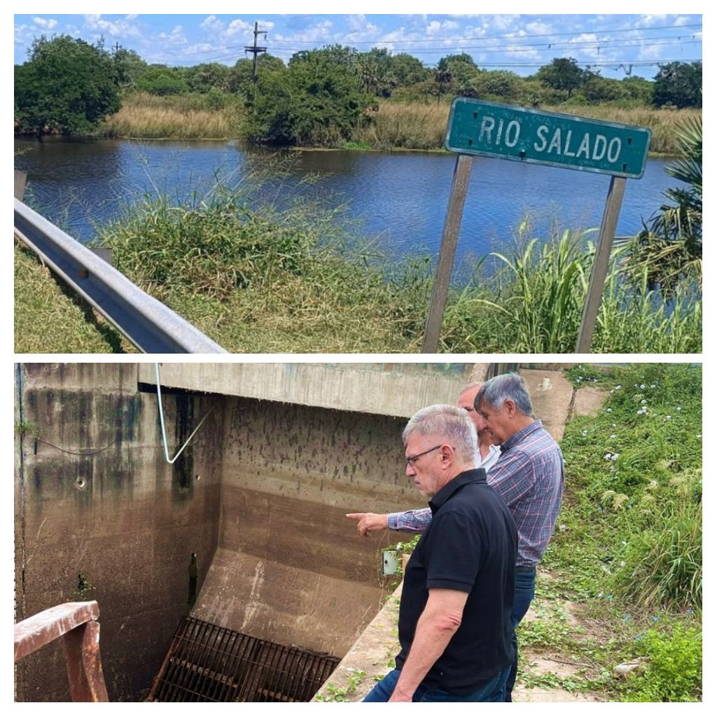 *ADMINISTRACION PROVINCIAL DEL AGUA: DESVIO CONTROLADO DEL RIO NEGRO BENEFICIA A LA PRODUCCION GANADERA*