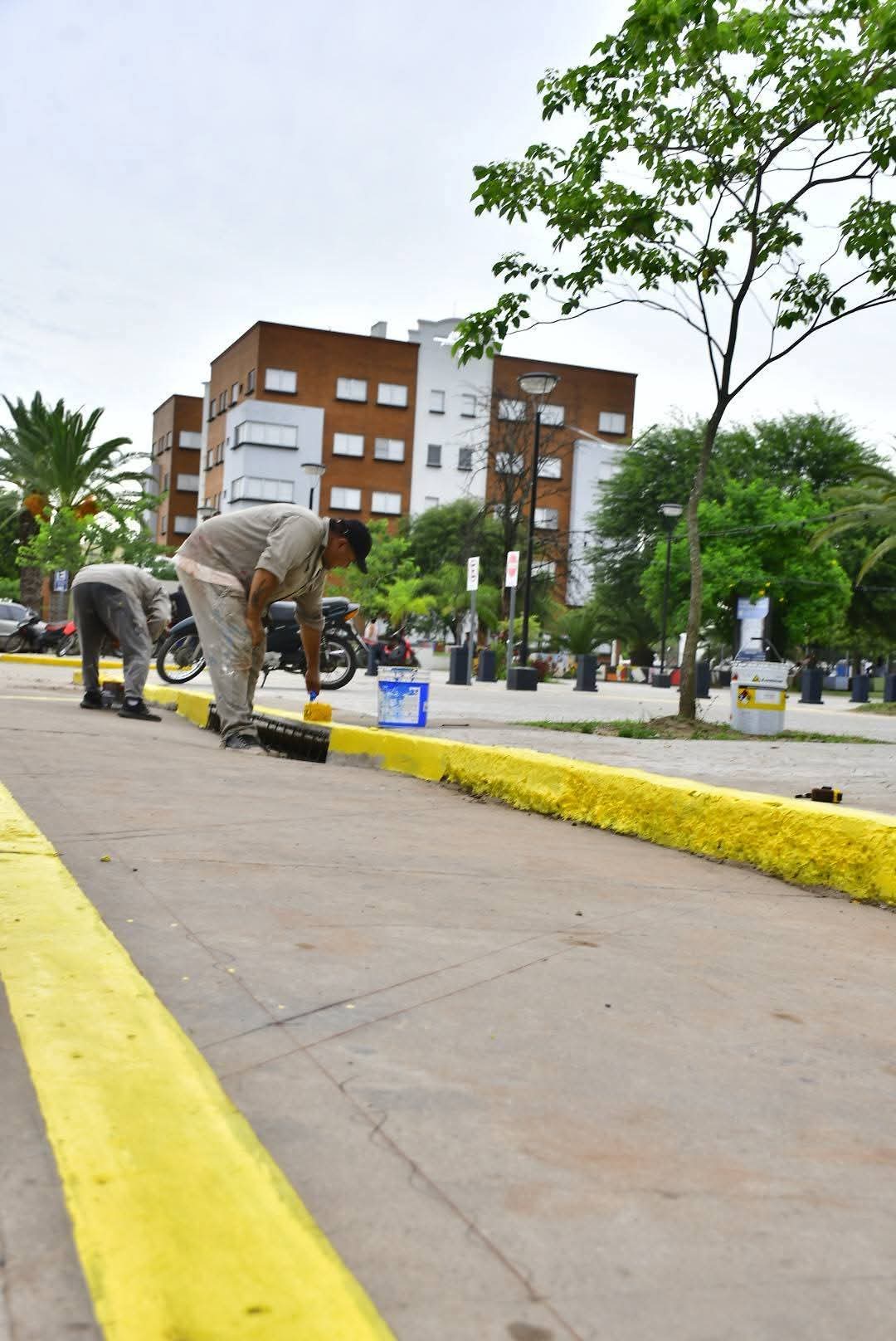 🚧 PROGRAMA DE ORDENAMIENTO VEHICULAR EN EL CASCO CÉNTRICO 🚦  