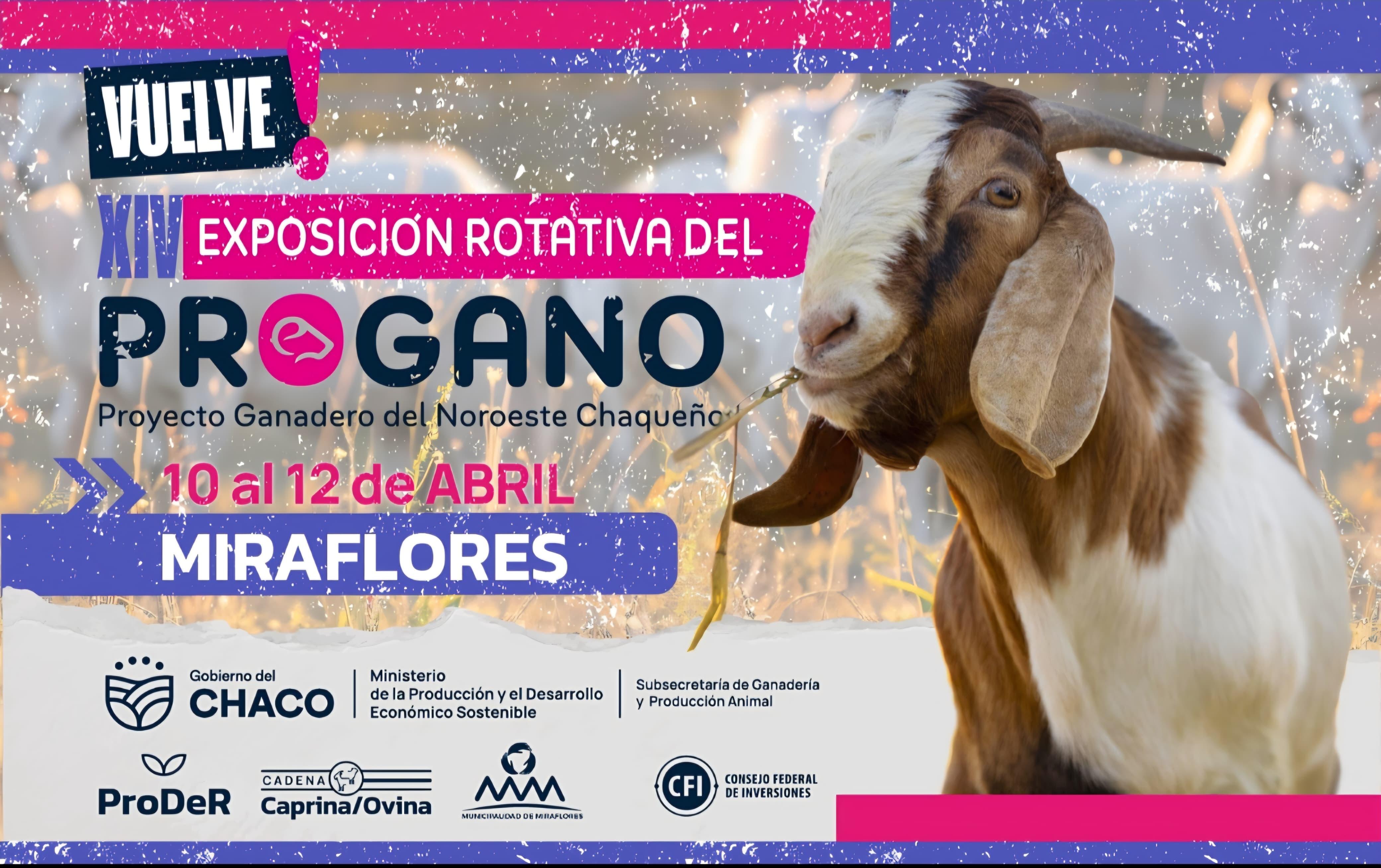 EN EL CEDEPRO DE MIRAFLORES SE REALIZARÁ LA EXPO ROTATIVA DEL PROGANO