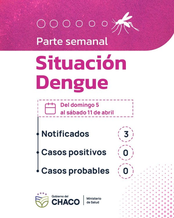 *CHACO SIN CASOS DE DENGUE: SALUD INSISTE EN LAS ACCIONES DE PREVENCI&Oacute;N*  