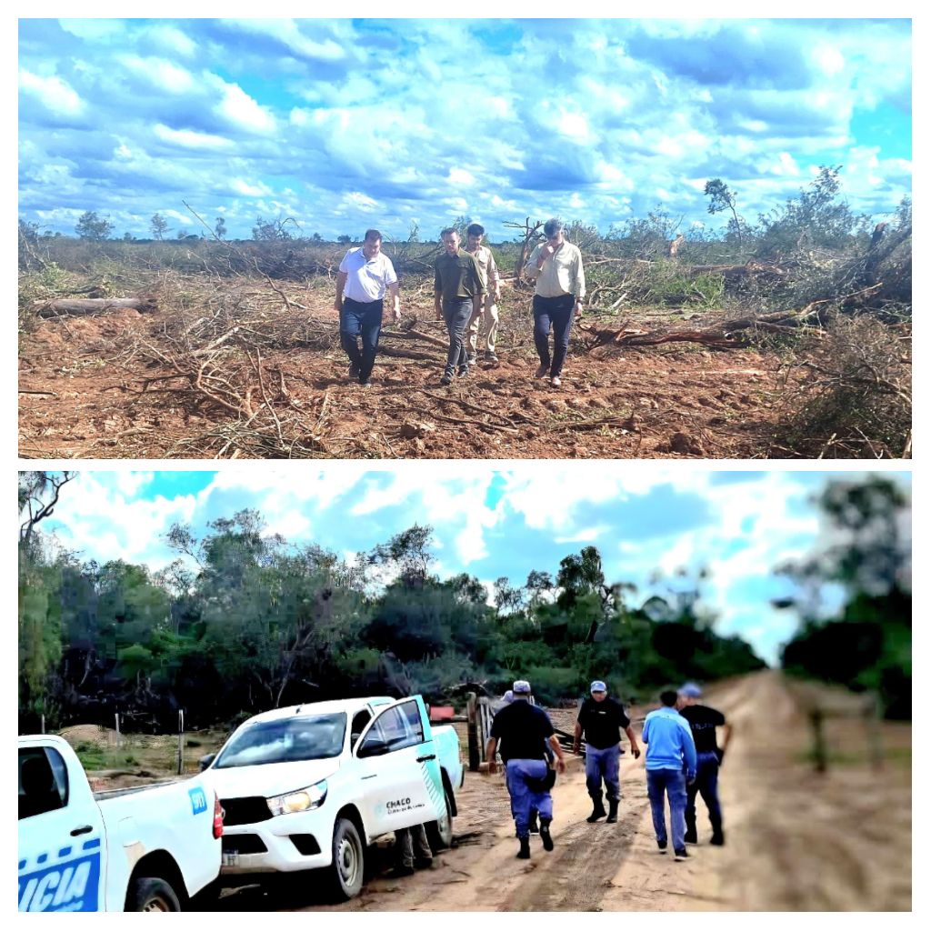 PRODUCCIÓN FRENÓ UN DESMONTE ILEGAL DE 1600 HECTÁREAS AL NORTE DE TACO POZO