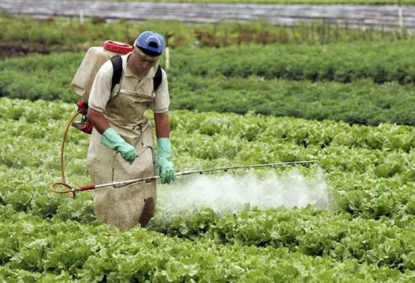 *EL GOBIERNO RECUERDA QUE ESTÁ PROHIBIDO APLICAR HERBICIDAS HORMONALES EN CHACO, DESDE EL 1 DE AGOSTO AL 31 DE MARZO*  