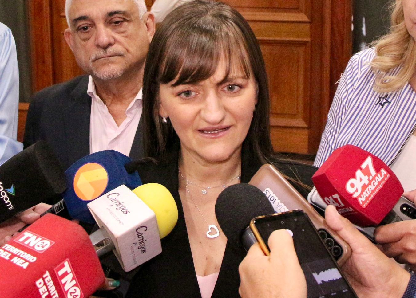 *TARIFA DIFERENCIAL Y SEGUNDO PUENTE: “CAPITANICH NOS MINTIÓ DÉCADAS Y NUNCA CONSIGUIÓ NADA” ASEGURÓ SILVANA SCHNEIDER*  