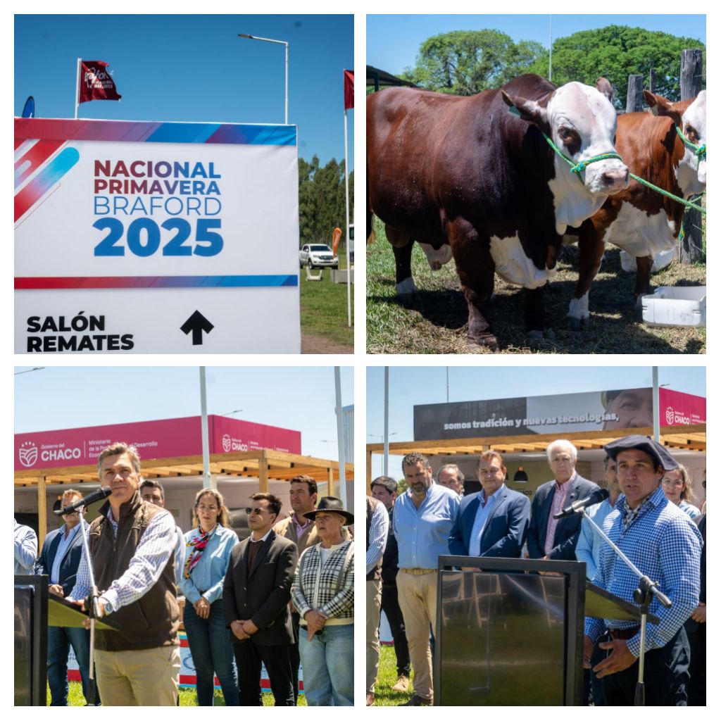 MARGARITA BELÉN: EL GOBERNADOR ZDERO ACOMPAÑO LA APERTURA DE LA EXPOSICIÓN NACIONAL DE PRIMAVERA BRAFORD 2025