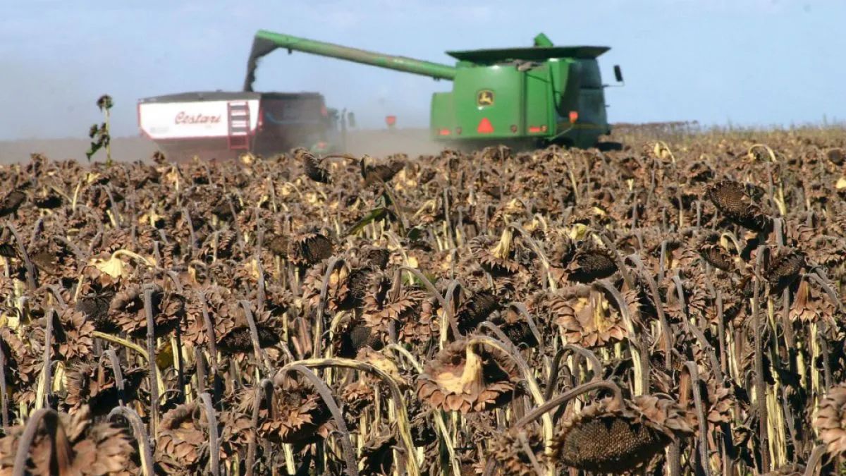 *PRODUCTORES CHAQUEÑOS COMIENZAN A RECIBIR AUTORIZACIONES SISTÉMICAS DE CARTAS DE PORTE*  